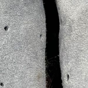 Sneakers by Columbia